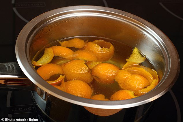 If your garden does not have space for a compost heap, you can still benefit from orange peel by making a sort of orange peel 'tea'