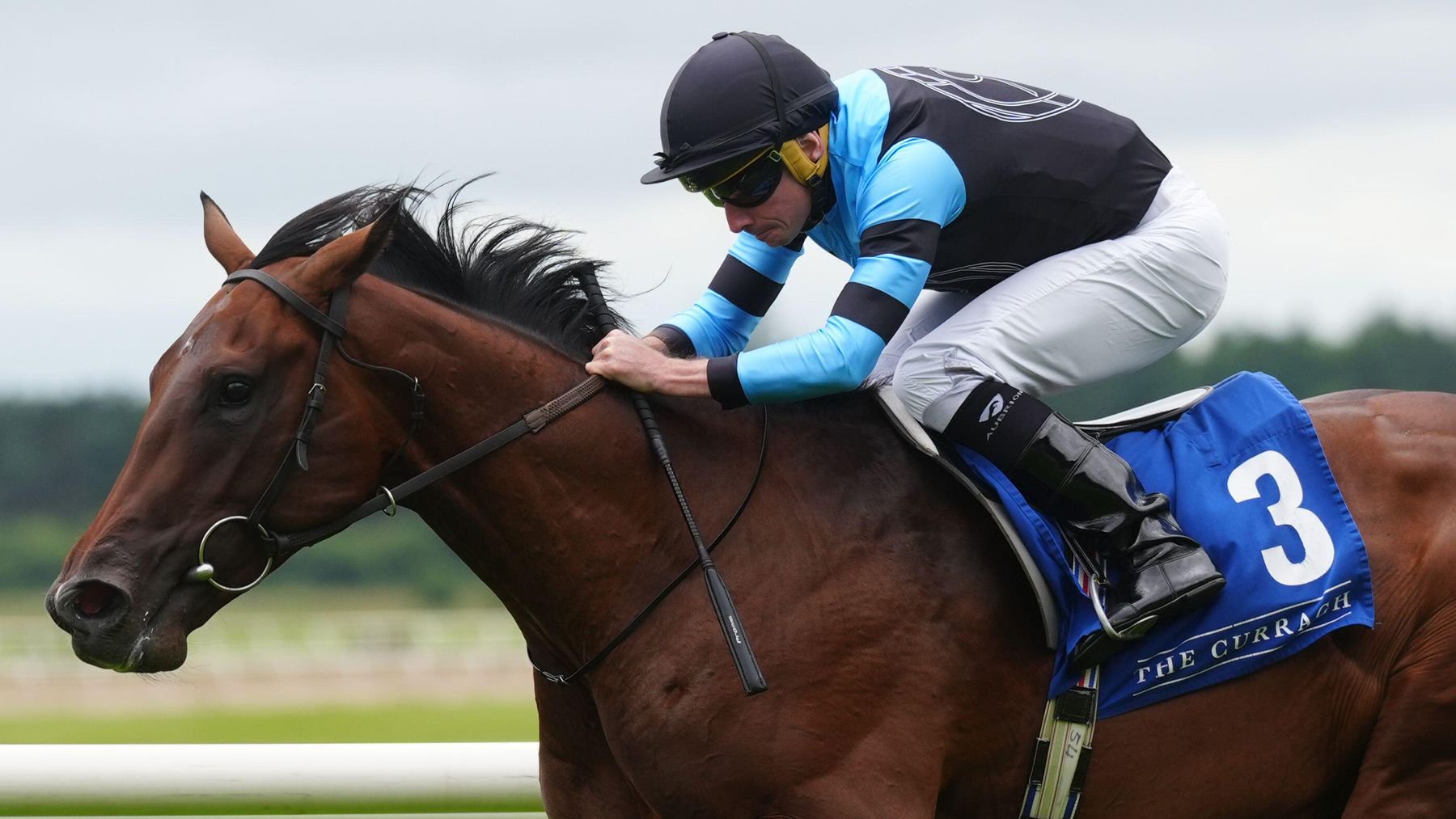 Giant Sequoia opens his account in style at the Curragh