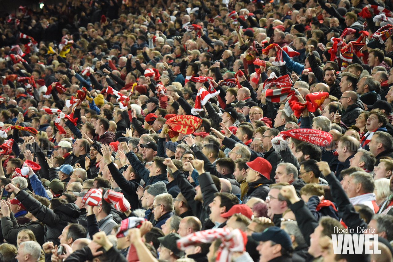 Liverpool v Brighton & Hove Albion: Pre-match Analysis