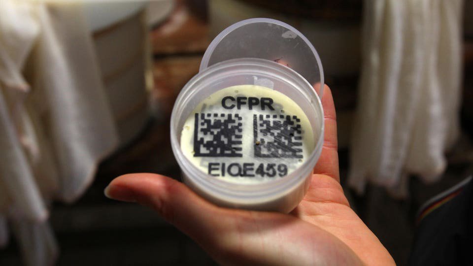 Now We Have AI, We Can Get Rid Of Insecure QR Codes For Good