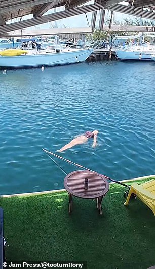 CeCe was videoed floating peacefully with a dead fish attached to her as bait, but things took a turn when she was suddenly dragged under water by a shark