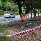 Federal regulators are investigating fiery fatal East Bay crash of VinFast EV