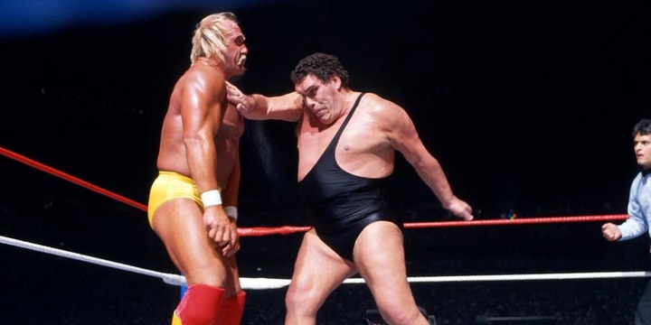 Andre The Giant v Hulk Hogan WrestleMania 3 Cropped
