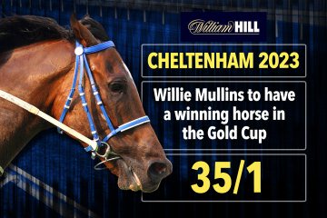 William Hill: Get Willie Mullins to have a winning horse in the Gold Cup at 35/1