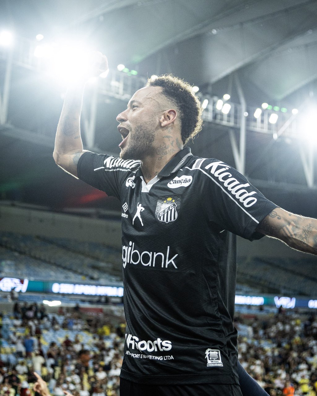 Reinaldo Campos/ Santos FC