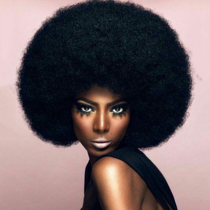 Amazon.com : Themis Hair Jumbo Afro Wig for Black Women Natural Looking  Black Afro Wig 70s Premium Synthetic Big Afro Wig (Black 1B#) : Beauty &amp;  Personal Care