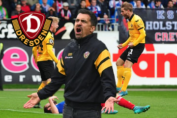 Dynamo-Coach Stamm will wieder etwas beenden: Die nächste Serie, bitte!