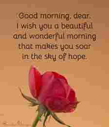 Good morning, dear. I wish you a beautiful and wonderful morning that makes you soar in the sky of hope.