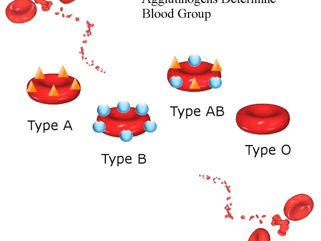 Do You Know Your Blood Group? : People With These Blood Group Have The ...