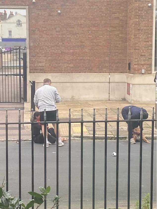 A picture taken after an XL Bully attack on a Toddler in Greenwich, London in October last year