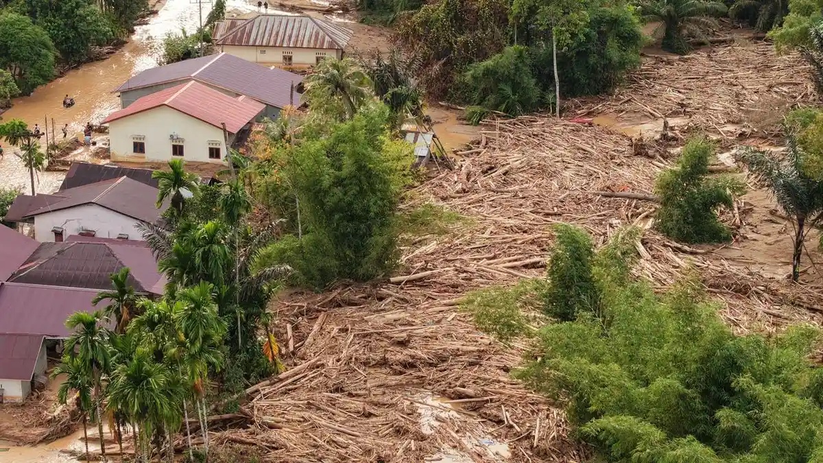 RUU Perampasan Aset: Kayu Gelondongan di Hutan Bisa Dirampas oleh Negara