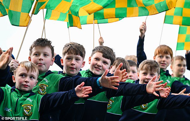 Flagbearers from Donaghmore Ashbourne GAA Club at a Meath-Roscommon League game