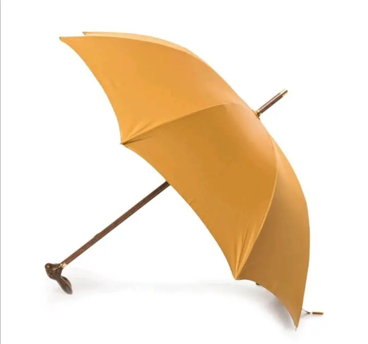 Check Most Expensive Umbrellas World. That Worth More Than Brand Series Sedan