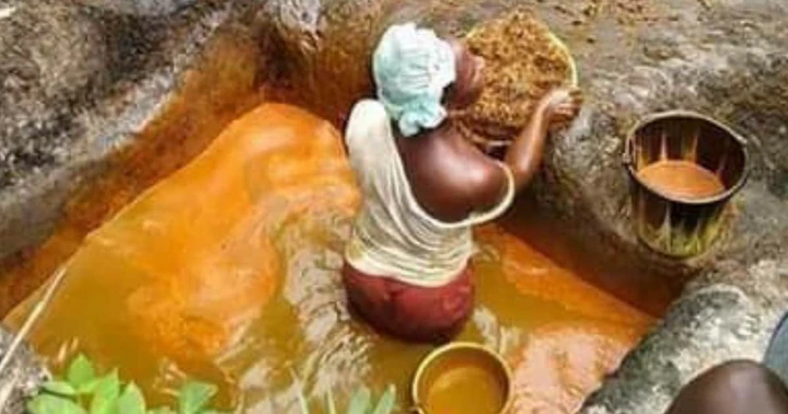 See disgusting photos of how your favourite palm Oil is made