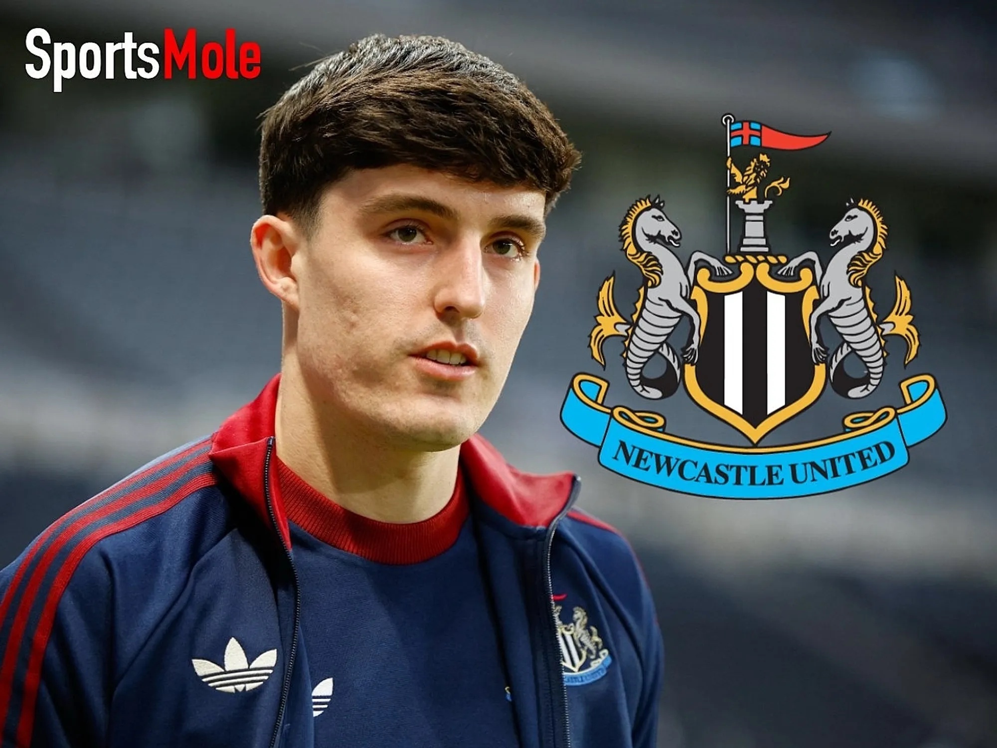 Osula, Miley, Livramento, Fernandez-Pardo updates: Newcastle injury, suspension list vs. Everton