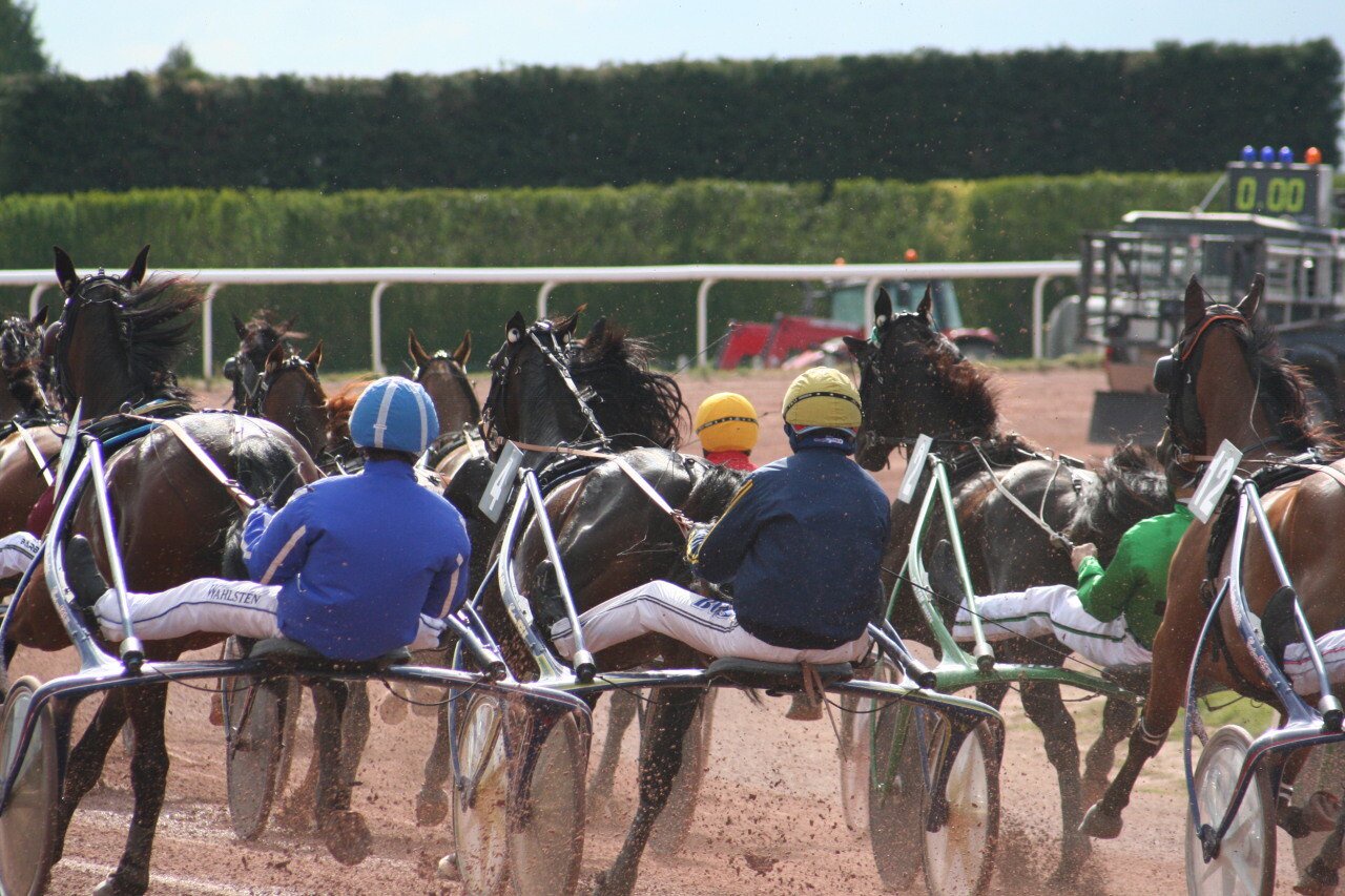 Le prix Paul-Buquet sera l'épreve phare de la réunion du samedi 4 novembre sur l'hippodrome du pays d'Argentan