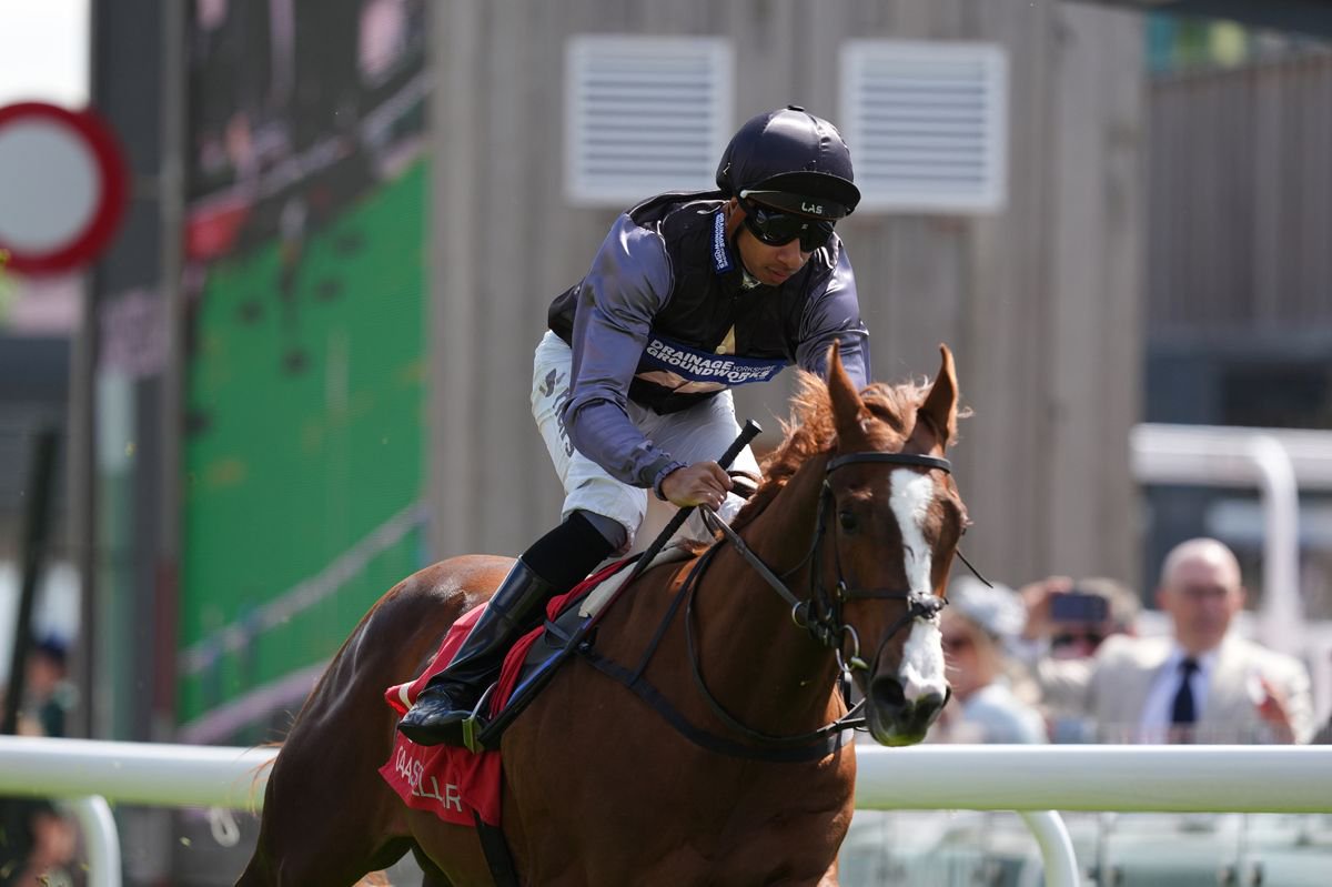 Adonius: set to miss cut for Breeders' Cup