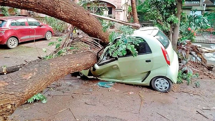 Pastor dies after a tree he was casting demons from fall on him