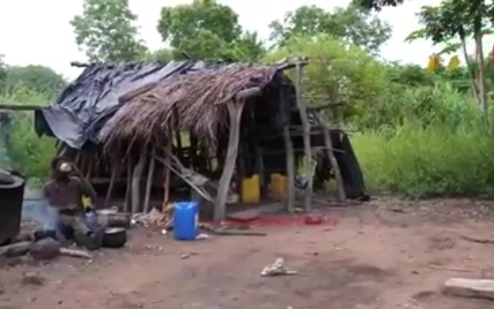 "I have been living in the forest for 40 years, I don't have transportation money to go back to my hometown"- man shares sad story