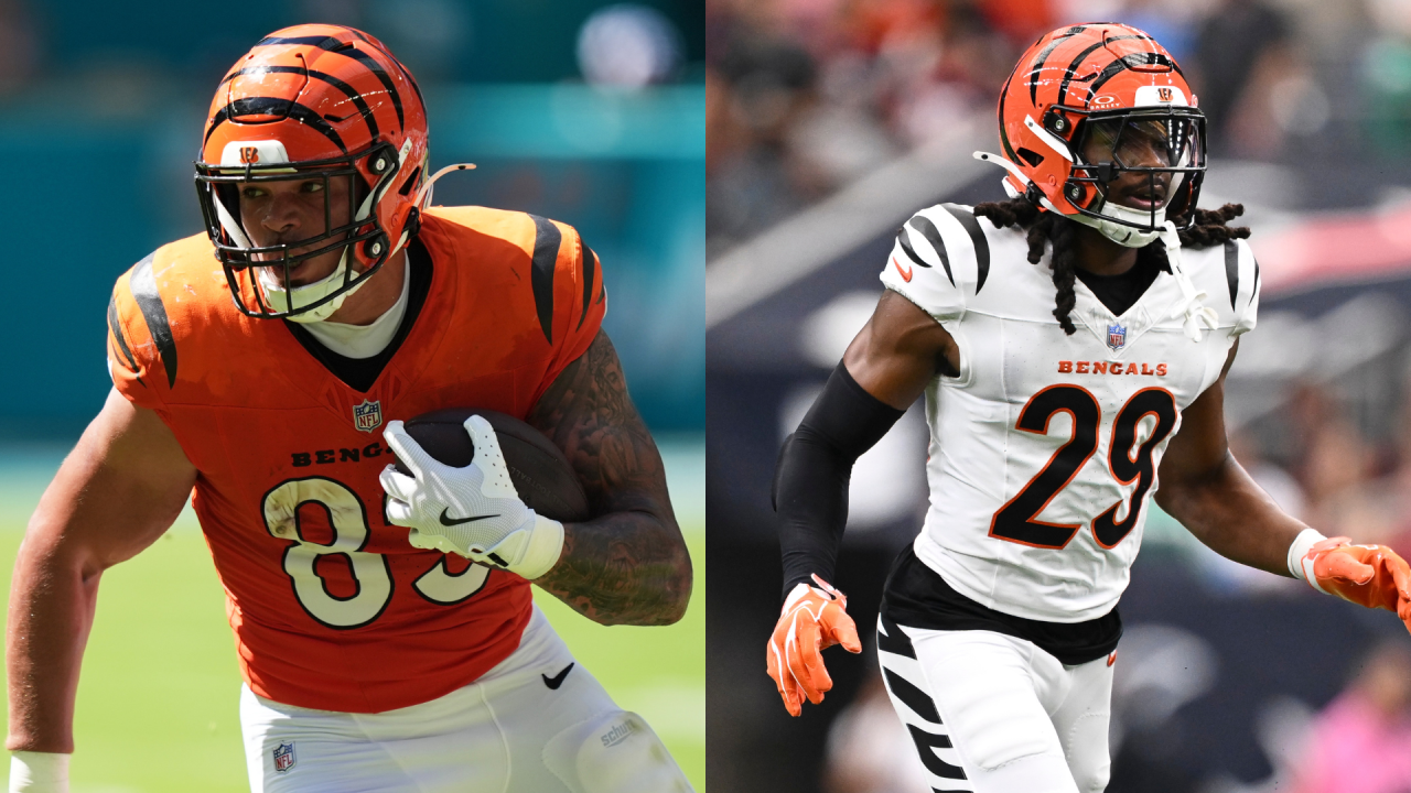 bengals (8).png