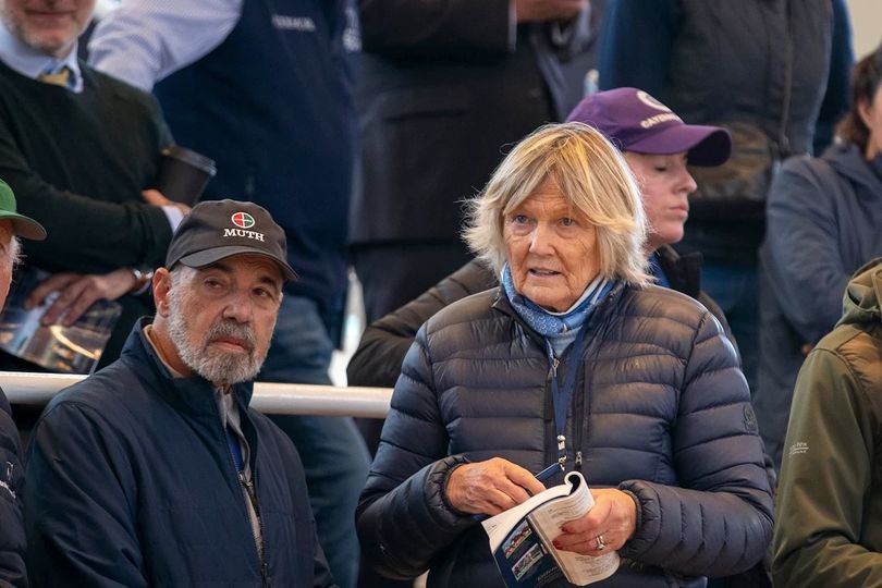 Jessica Harrington: Cheltenham Festival and Classic-winning trainer