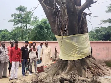 लोग चमत्कार मानकर पेड़ की पूजा अर्चना में जुट गये हैं. 