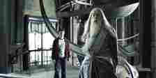 Harry and Dumbledore in the Astronomy Tower in Harry Potter and the Half-Blood Prince Dumbledore