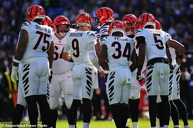 Cincinnati Bengals players huddle on the field during the first half of an NFL football game against the Baltimore Ravens in Baltimore, Sunday, Oct. 25, 2026. (AP Photo/Stephanie Scarbrough)