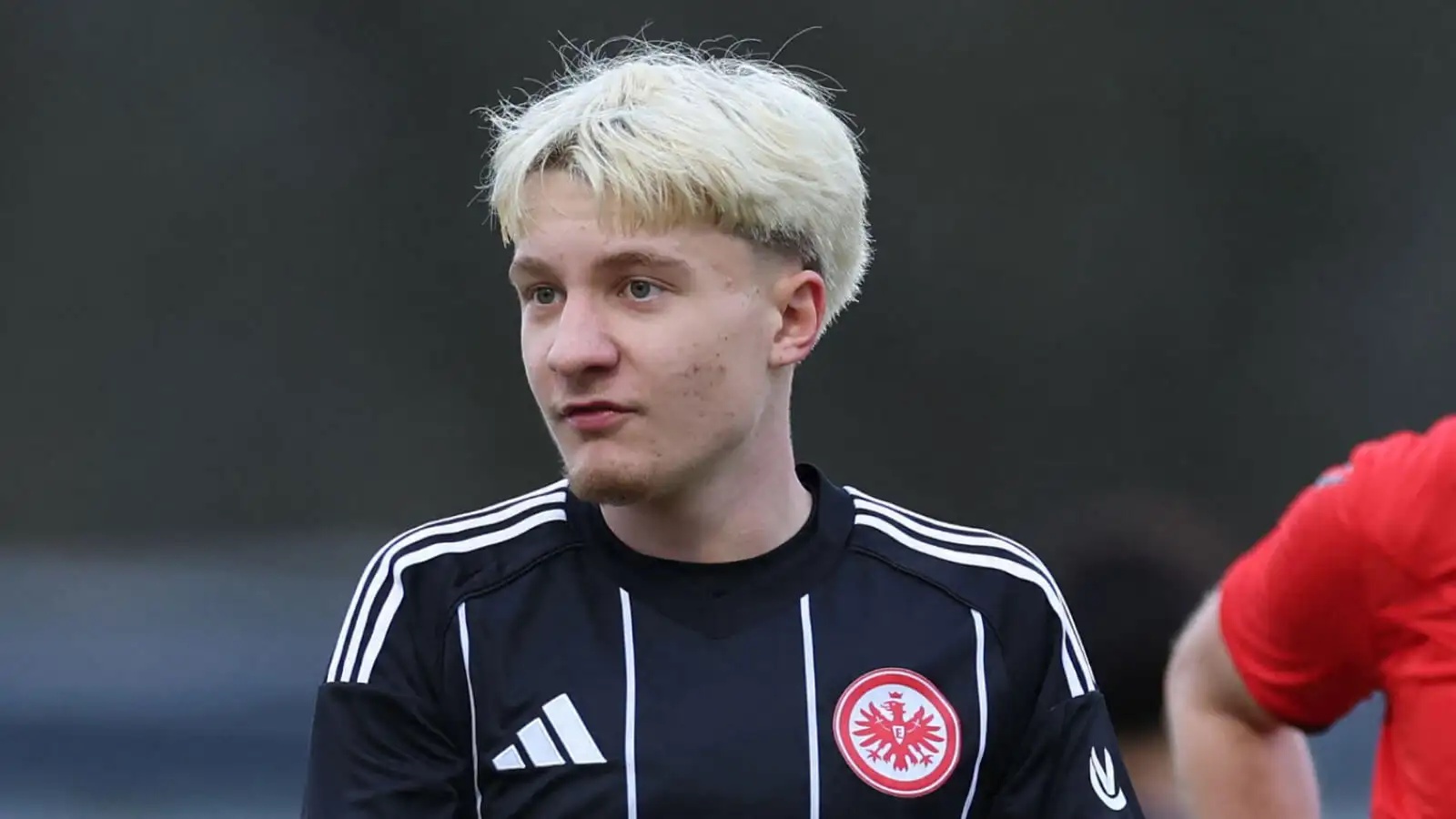 Eintracht Frankfurt star Niko Ilicevic