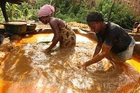 See disgusting photos of how your favourite palm Oil is made