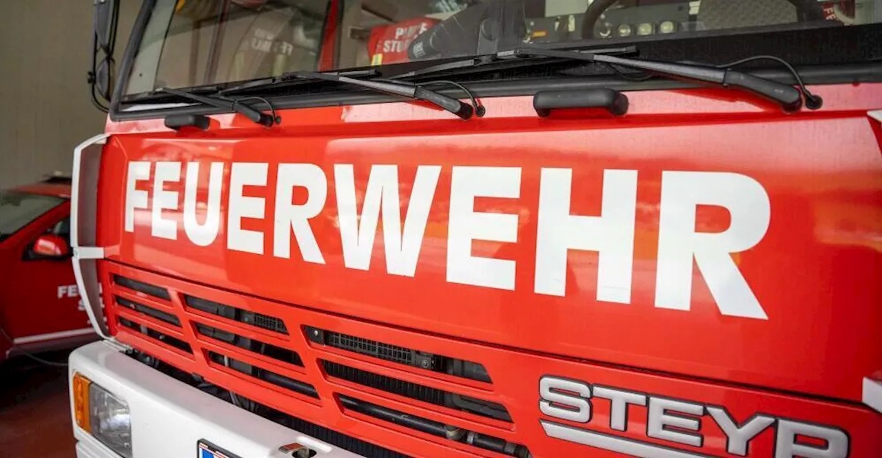 Zwei Bäume stürzten in Dornbirn auf Straßen - Einer davon durch Fremdeinwirkung