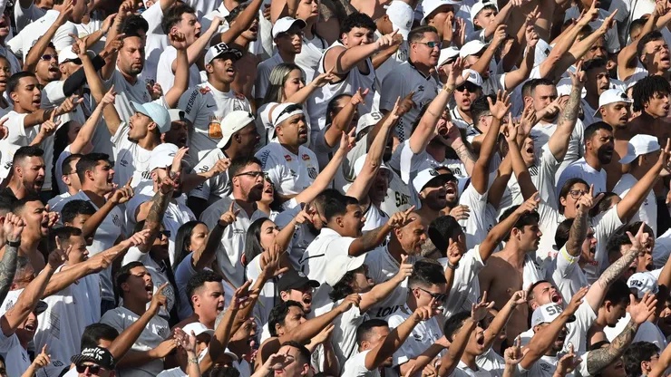 Torcida do Santos se agita. Foto: Jota Erre/AGIF