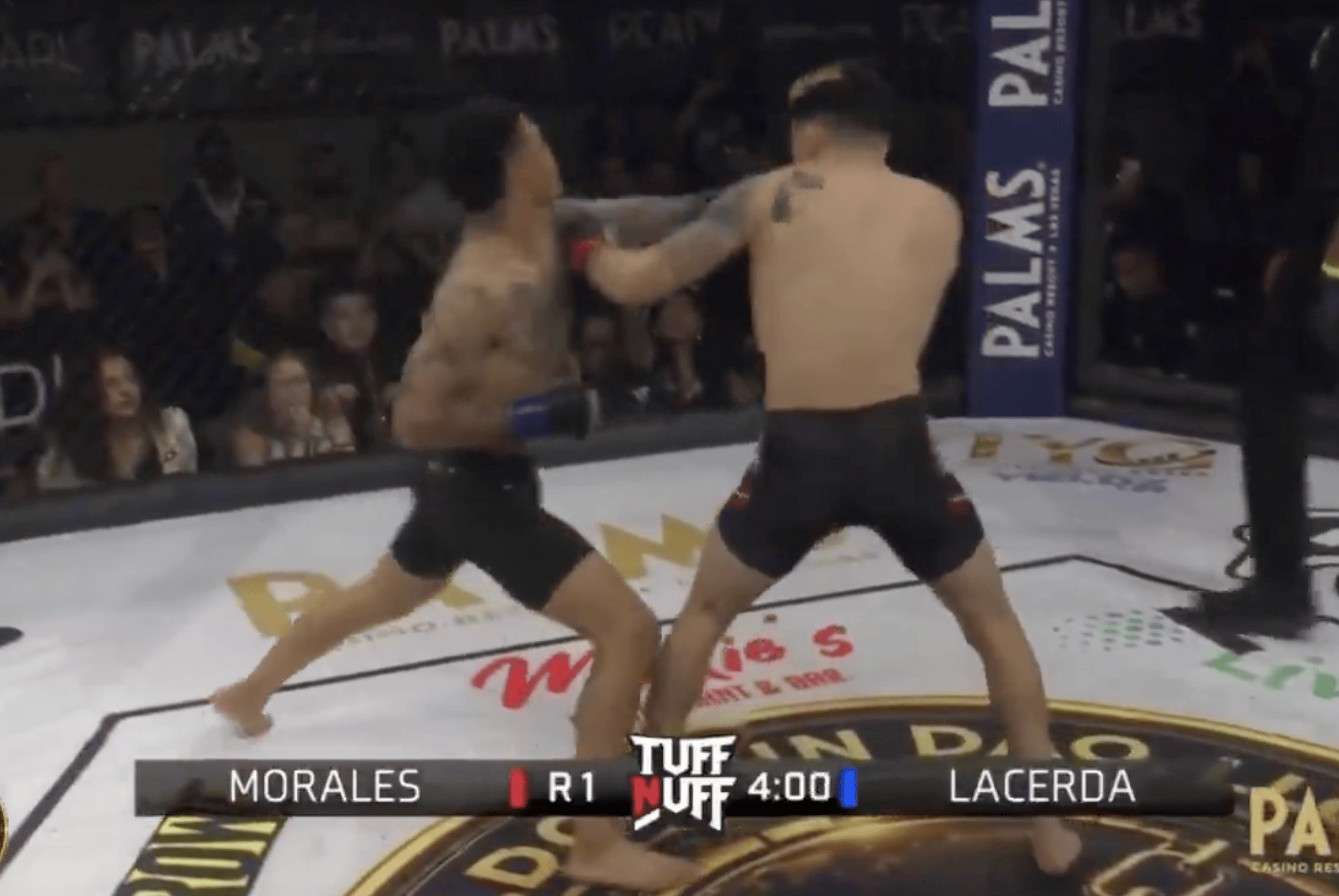 Vince Morales
