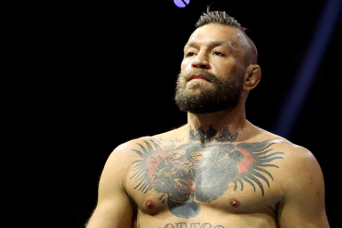 UFC 329: McGregor v Holloway 2