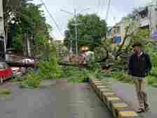Nashik: Power Outage Hits as Tree Collapse Takes Down Electric Poles, Affects 1,500 Customers | Nashik: Power Outage Hits as Tree Collapse Takes Down Electric Poles, Affects 1,500 Customers