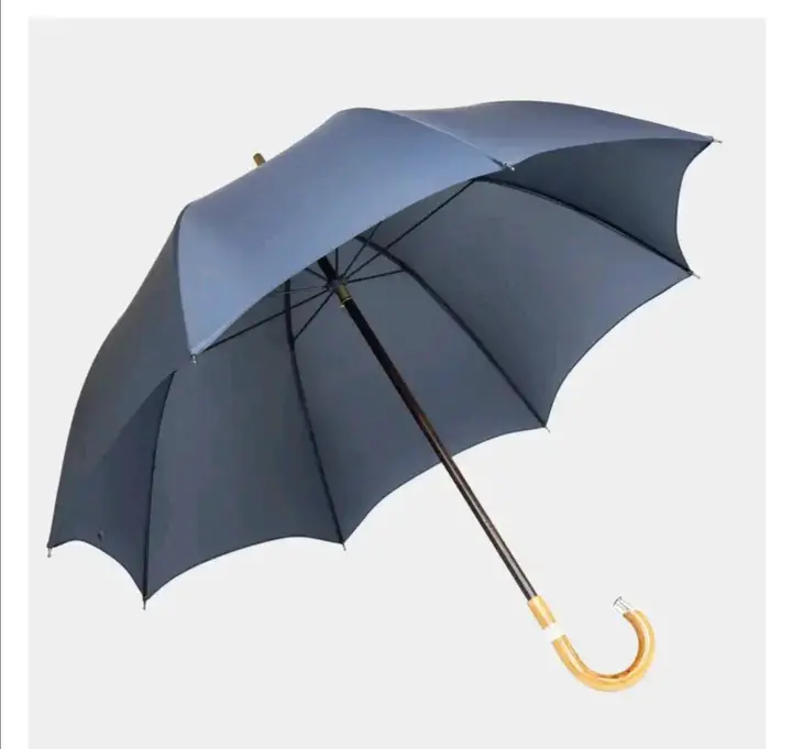 Check Most Expensive Umbrellas World. That Worth More Than Brand Series Sedan