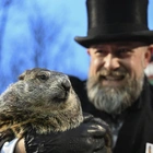Punxsutawney Phil, the spring-predicting groundhog, and wife Phyliss are parents of 2 babies