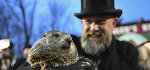 Punxsutawney Phil, the spring-predicting groundhog, and wife Phyliss are parents of 2 babies