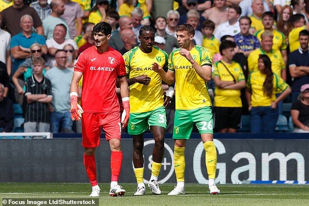 Norwich players are running on empty and anyone who watches them can see it