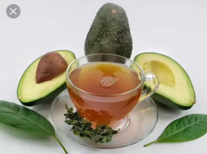 spiritual-and-physical-benefits-of-avocado-pear-seed-and-leafs-opera-news