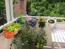 herbs in colorful planters mounted on balcony railing