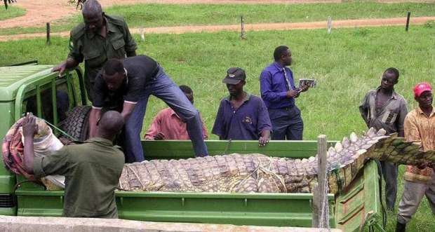 62f87c35ad697bcbd53cddad9566ce43 1?source=nlp&quality=hq&format=webp&resize=720