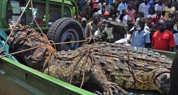 62f87c35ad697bcbd53cddad9566ce43 2?source=nlp&quality=hq&format=webp&resize=720