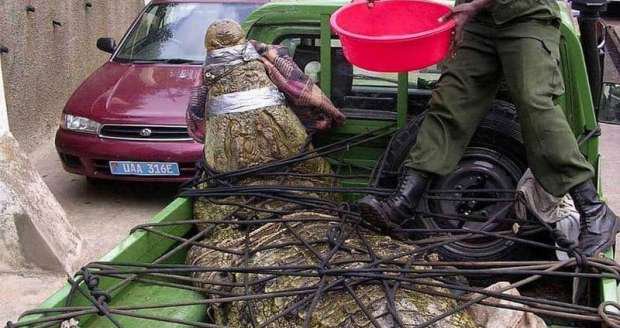 62f87c35ad697bcbd53cddad9566ce43 3?source=nlp&quality=hq&format=webp&resize=720