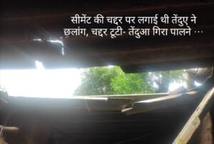 WhatsApp Image 2022 08 23 at 10.44.50 PM 1