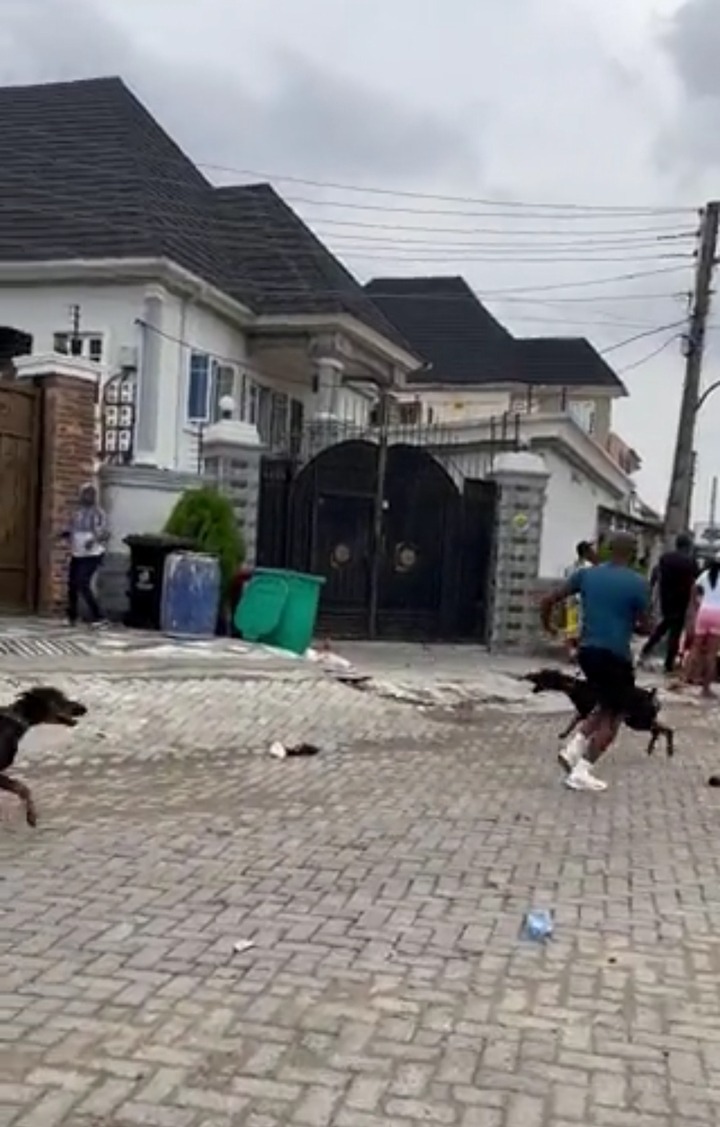 Moment Voters Chased Thugs Away From Their Polling Unit With Dogs In Lagos