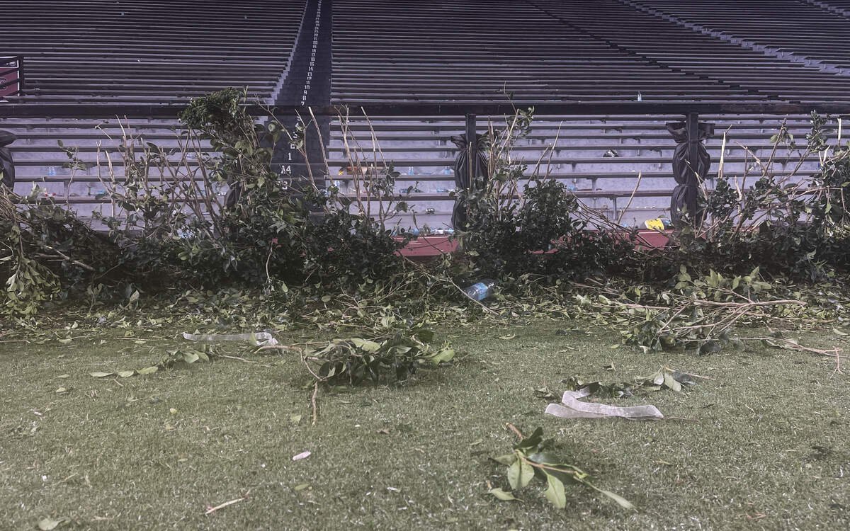 The shrubs in the end zones of Williams-Brice Stadium were demolished as fans stormed the field after South Carolina’s win over Tennessee on Saturday, Oct. 24, 2026.