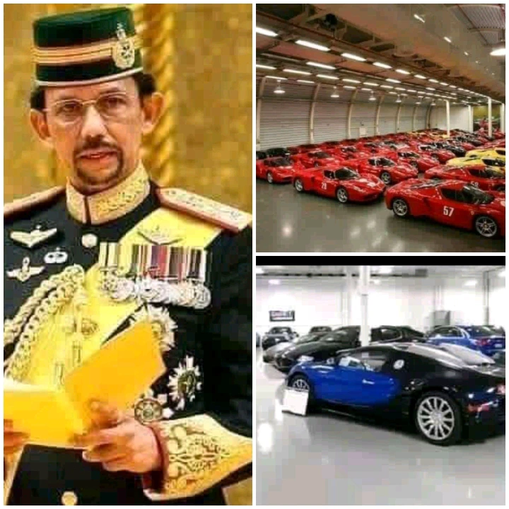 6641906ee4d2ef906f3faaa779605281?quality=uhq&format=webp&resize=720