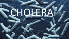 Bauchi records one death as cholera cases increase to 50