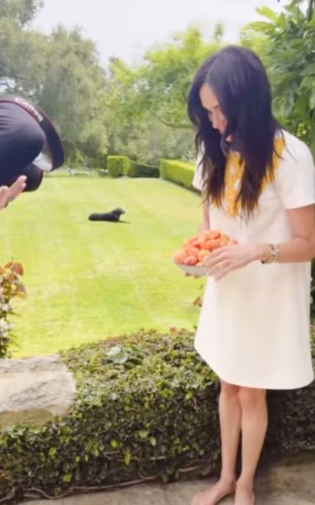 Meghan showed a behind the scenes video for her As Ever brand